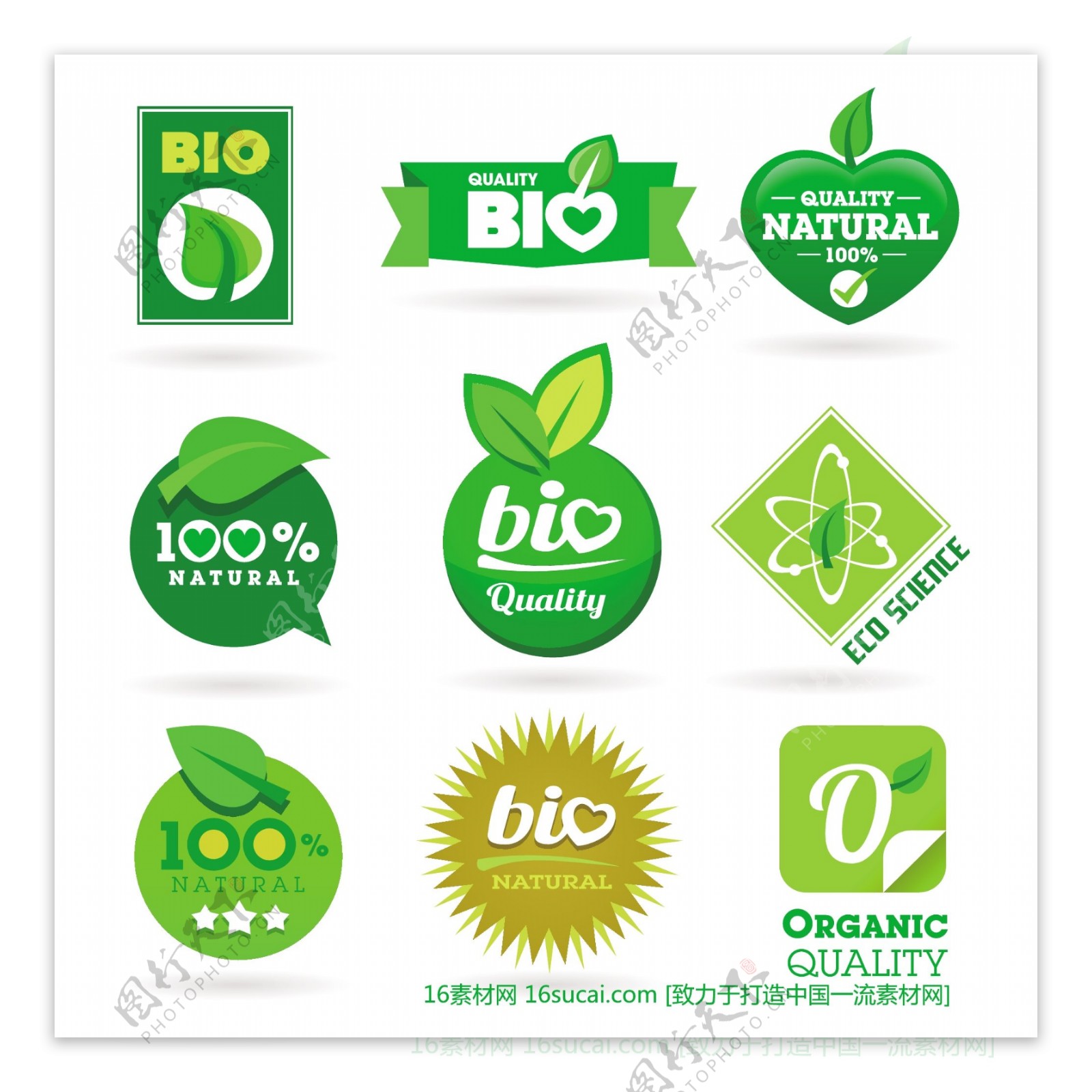 绿色标签创意标签自然标签卷页标签