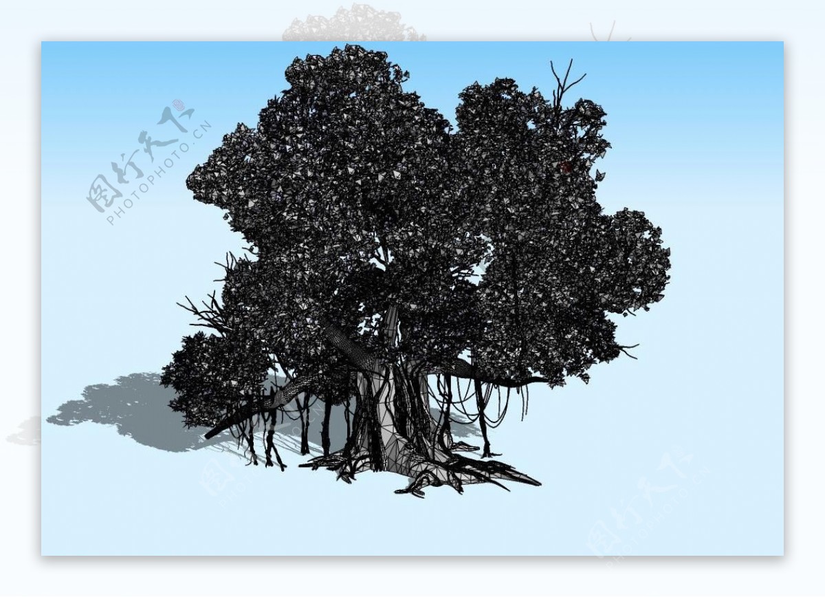 大榕树3D模型