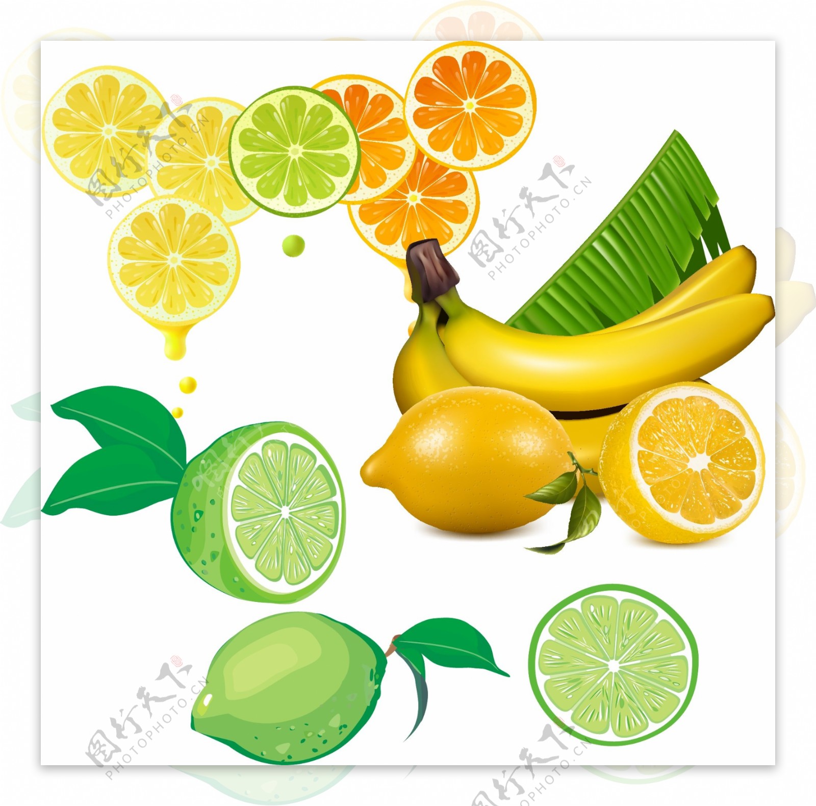 柠檬香蕉青柠檬图片