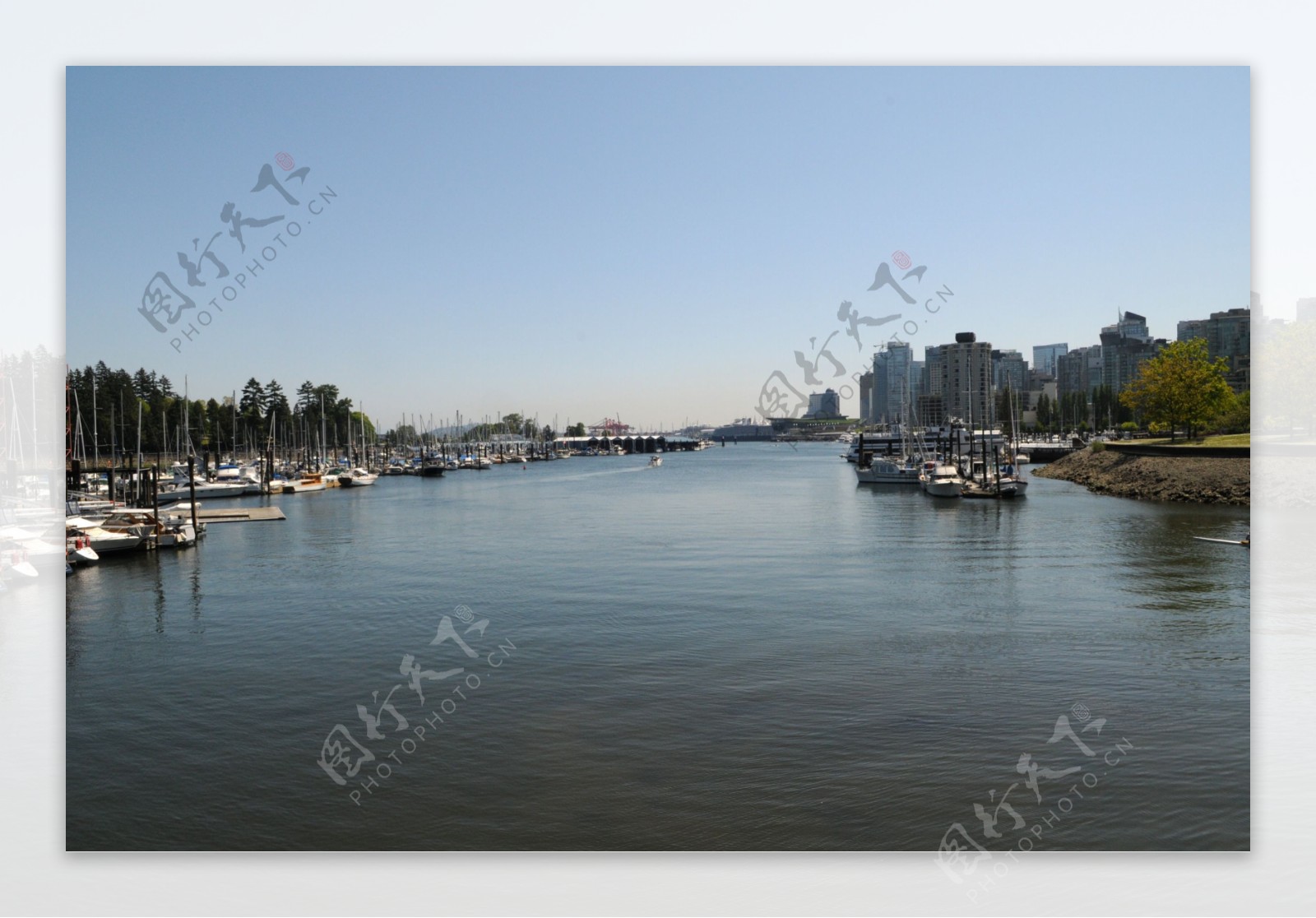 温哥华海湾私家游艇图片