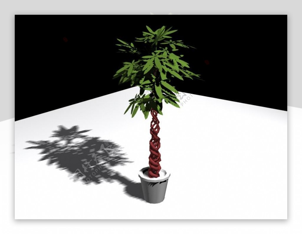 植物盆栽室内装饰素材免费下载3d模型素材115