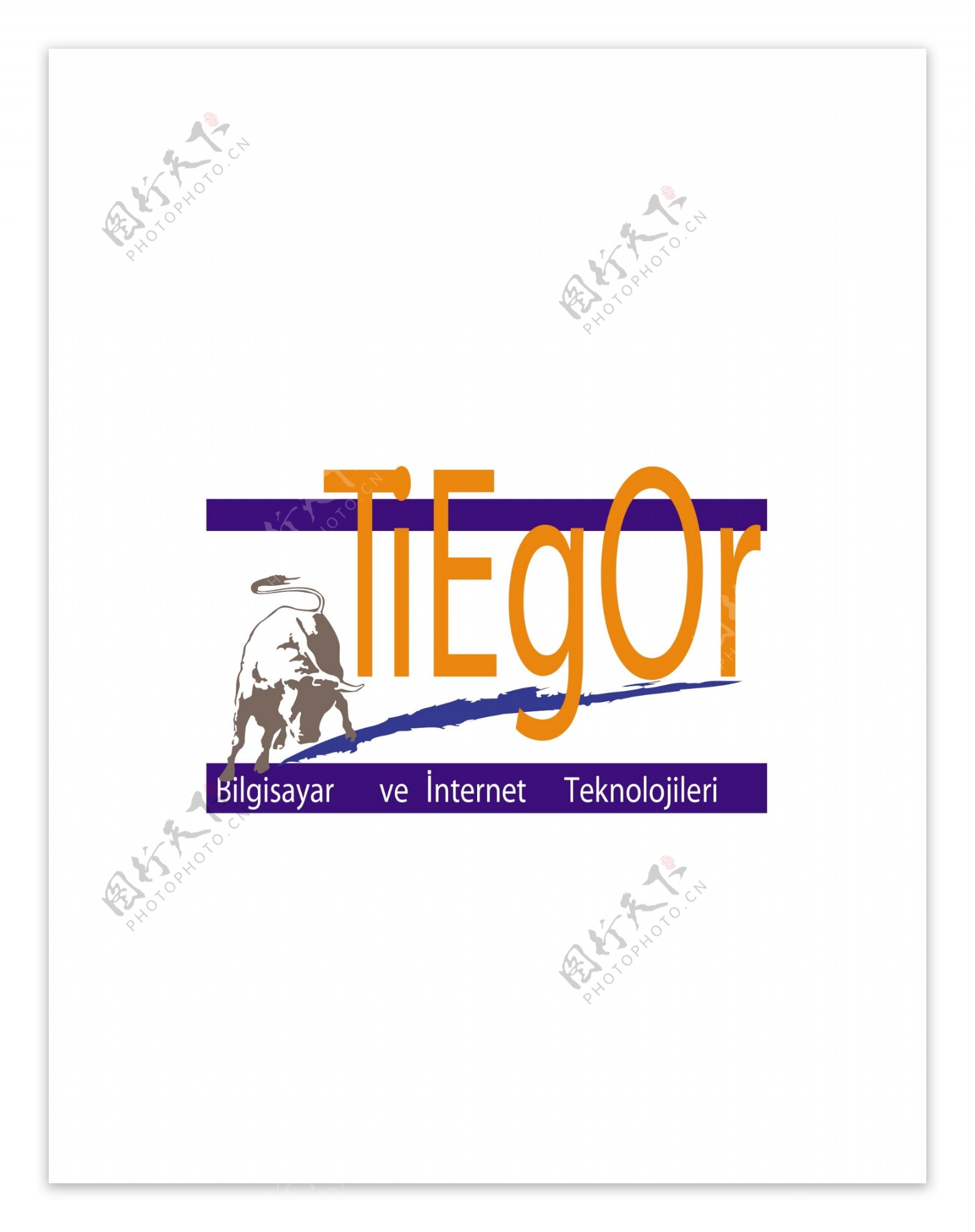 tiegorlogo设计欣赏tiegor网络公司LOGO下载标志设计欣赏