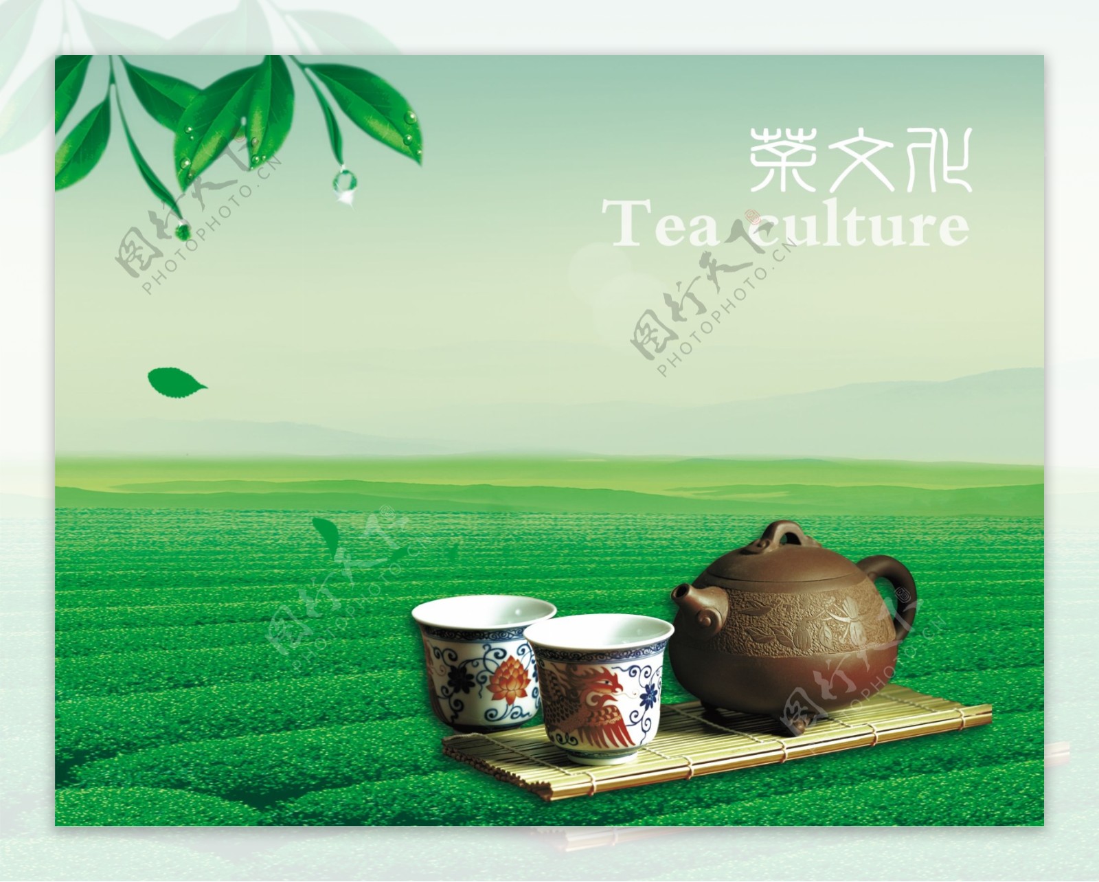 茶背景图片