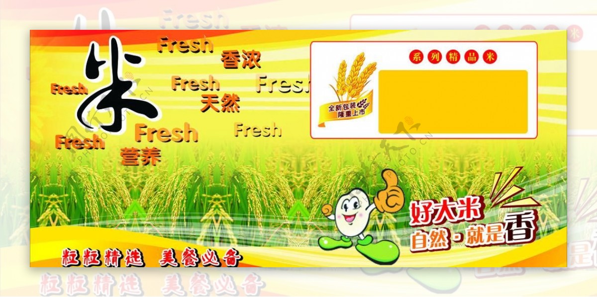 米稻穗图片
