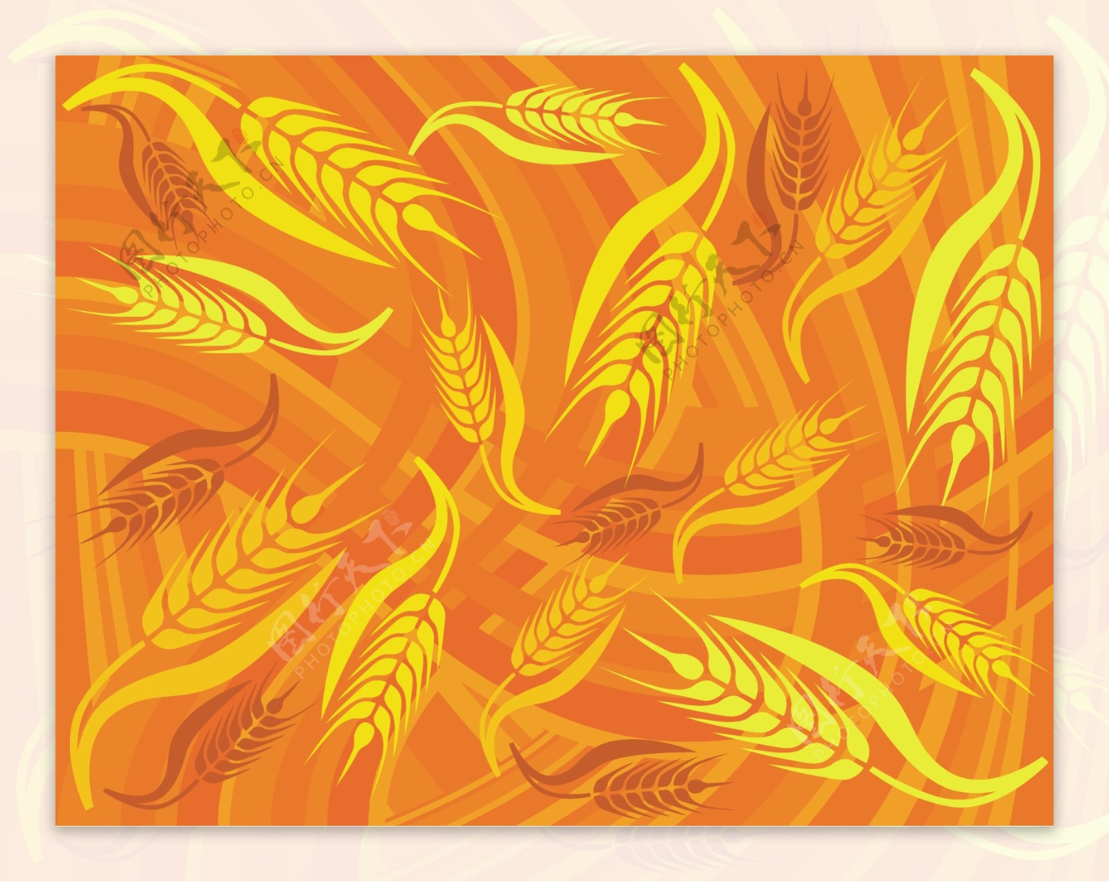 美丽的金色的小麦背景矢量素材