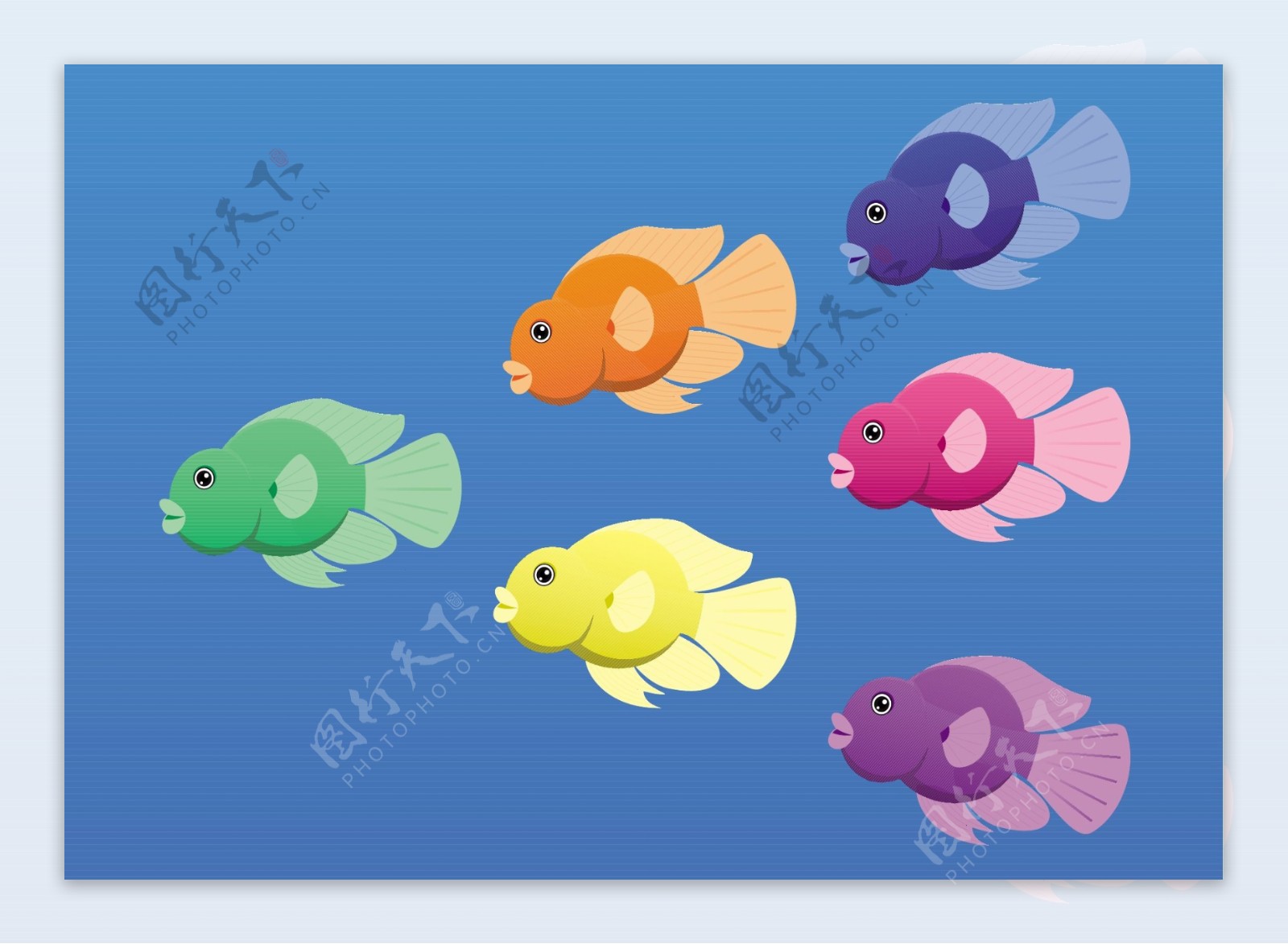 一种豆形软糖矢量图像或鹦鹉明亮色彩的慈鲷鱼
