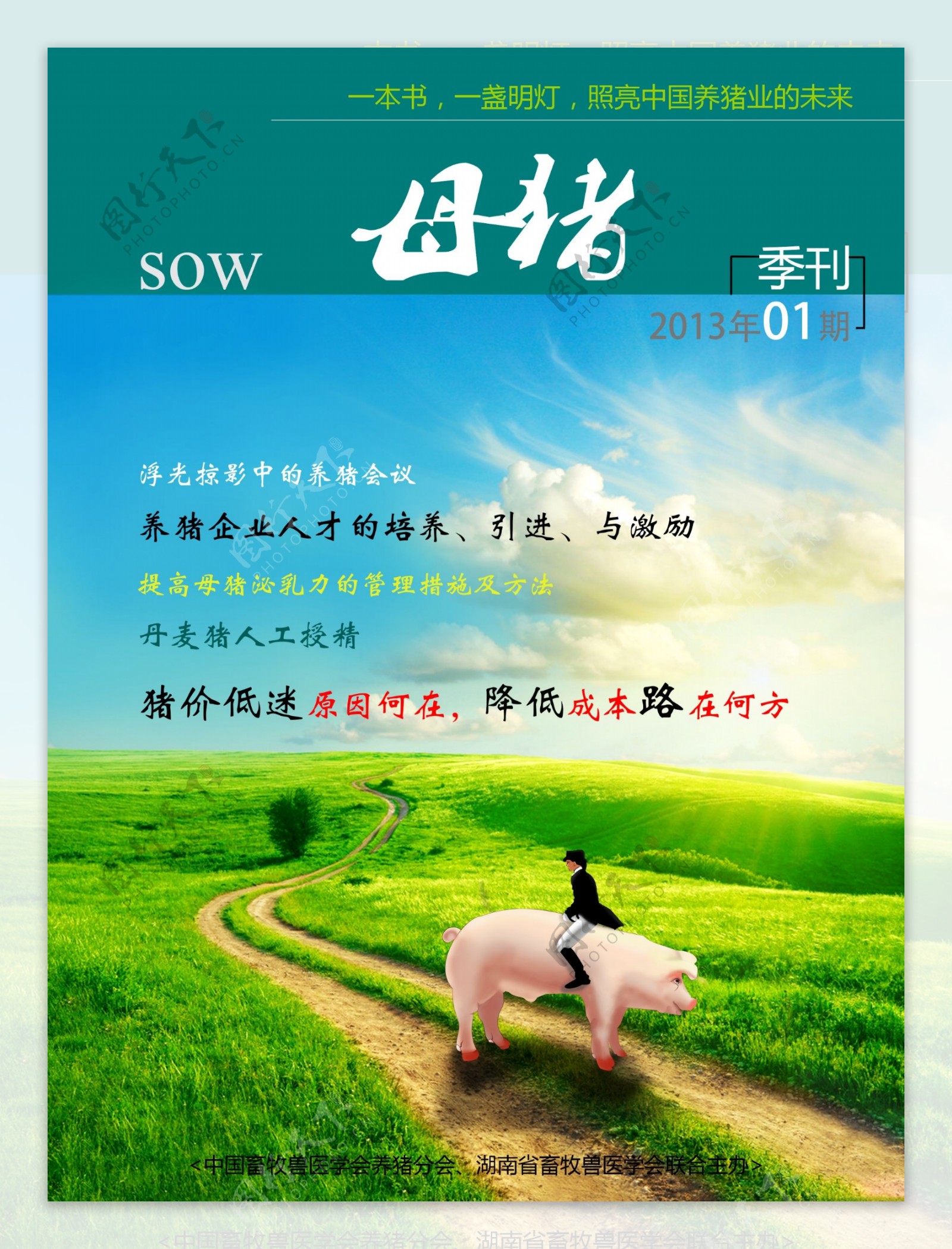 母猪季刊封面图片