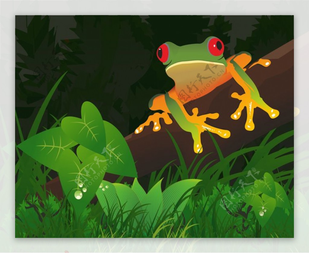 发光的森林树蛙图形的CDR