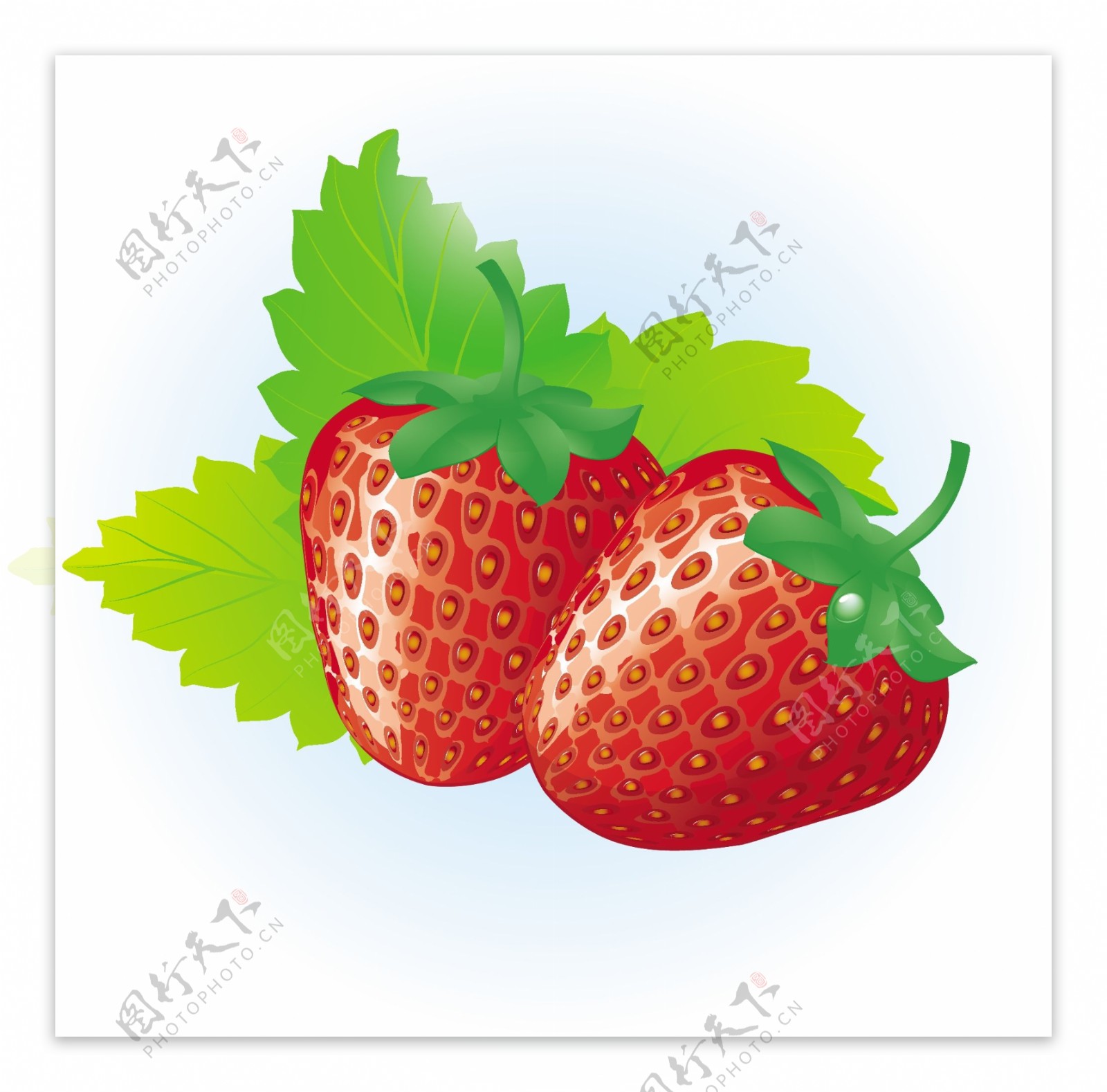 免费的新鲜和美味的草莓矢量插画
