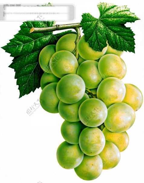 新鲜水果串串绿葡萄