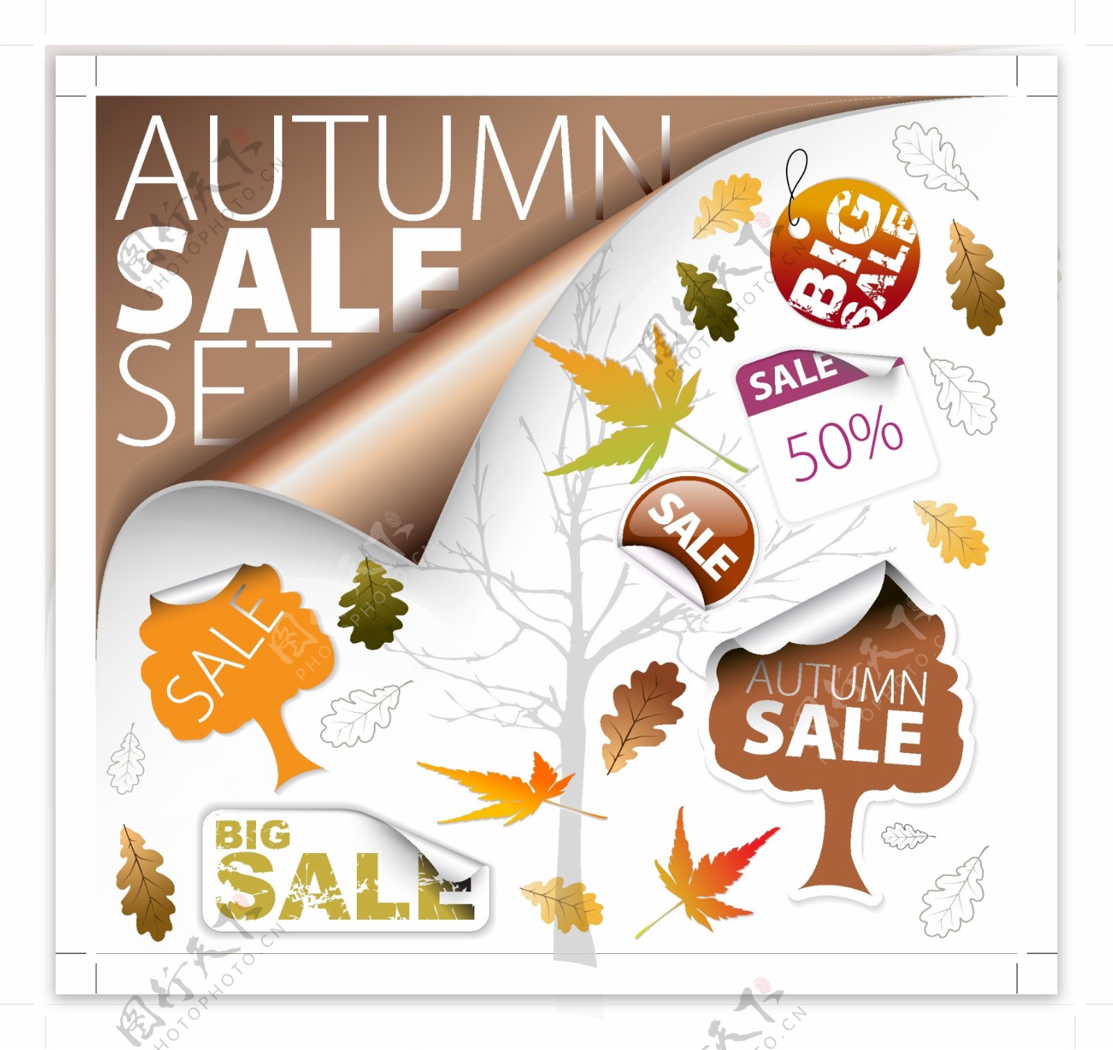 秋季销售标签矢量图标枫叶树叶标签图片