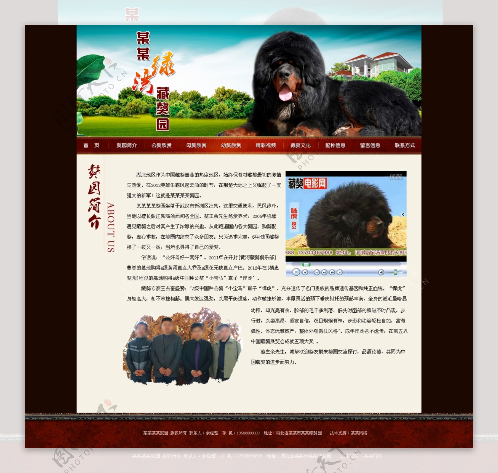 藏獒网页图片