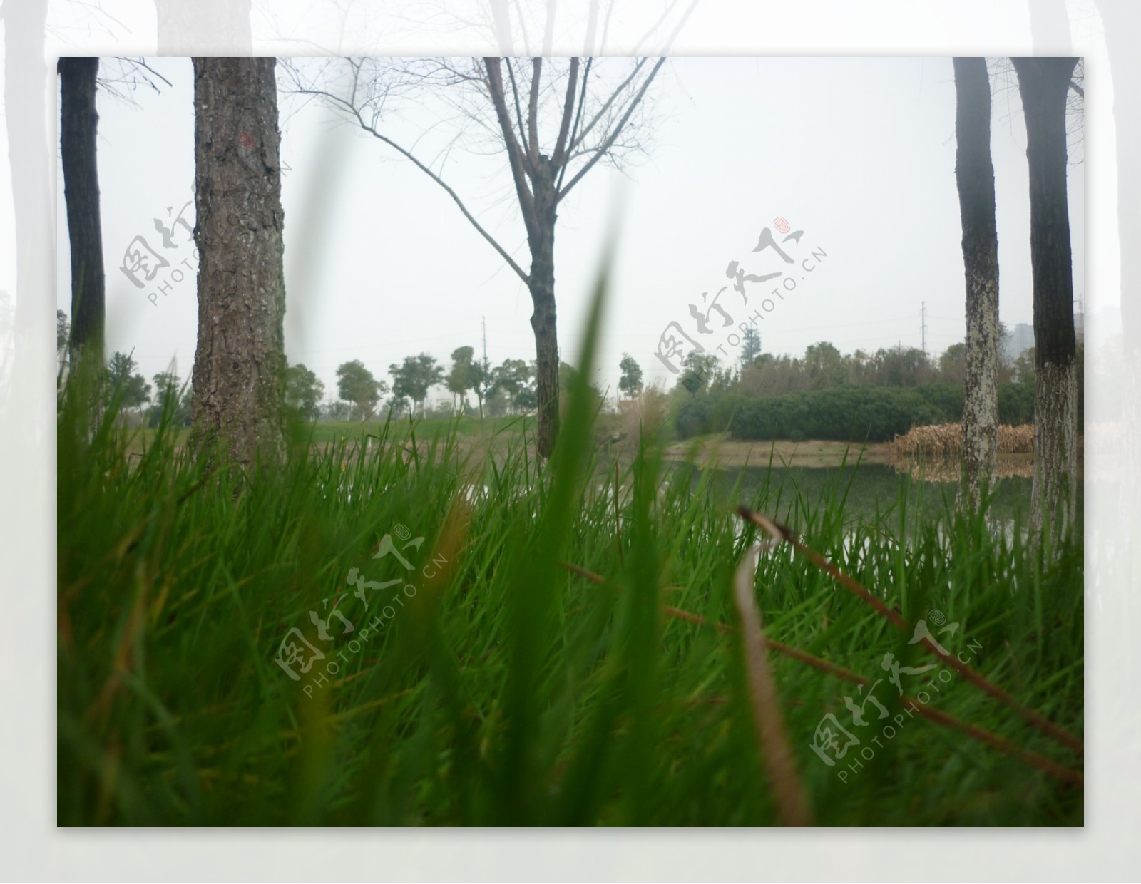 艾溪湖湿地公园的春天图片