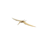 3D翼龙模型