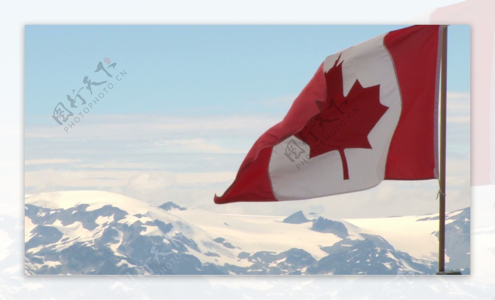 加拿大的国旗在风中股票的录像视频免费下载