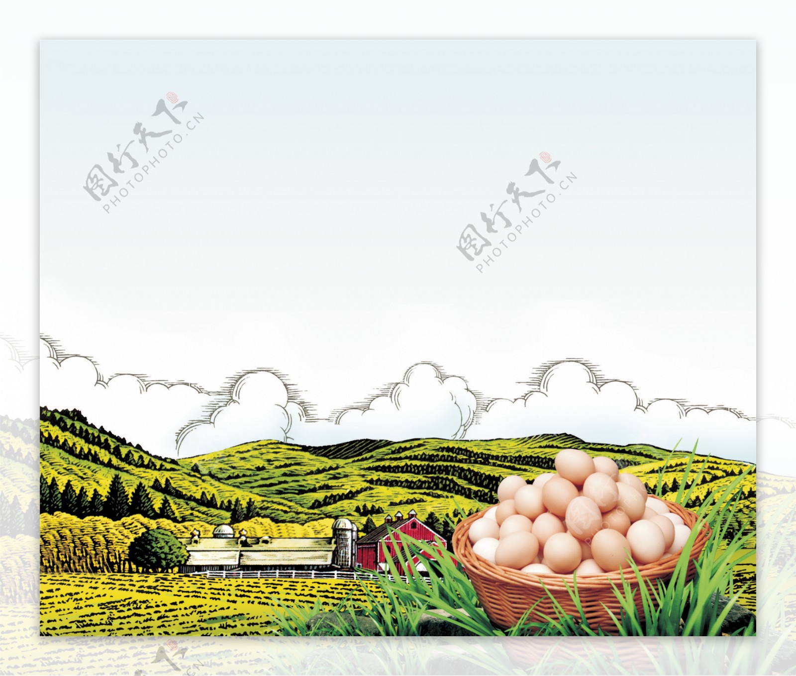 圣迪乐手绘云朵鸡蛋广告素材