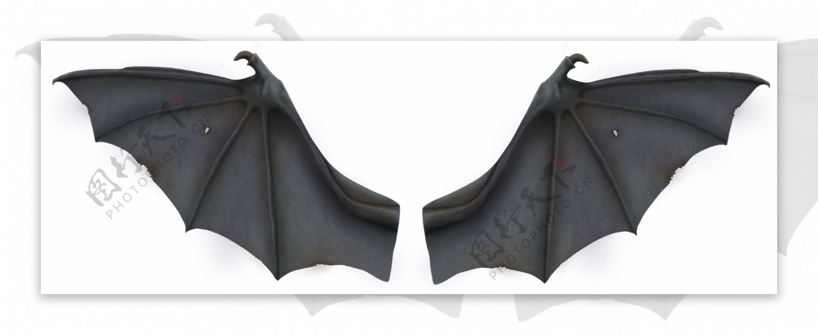 两款蝙蝠翅膀图片