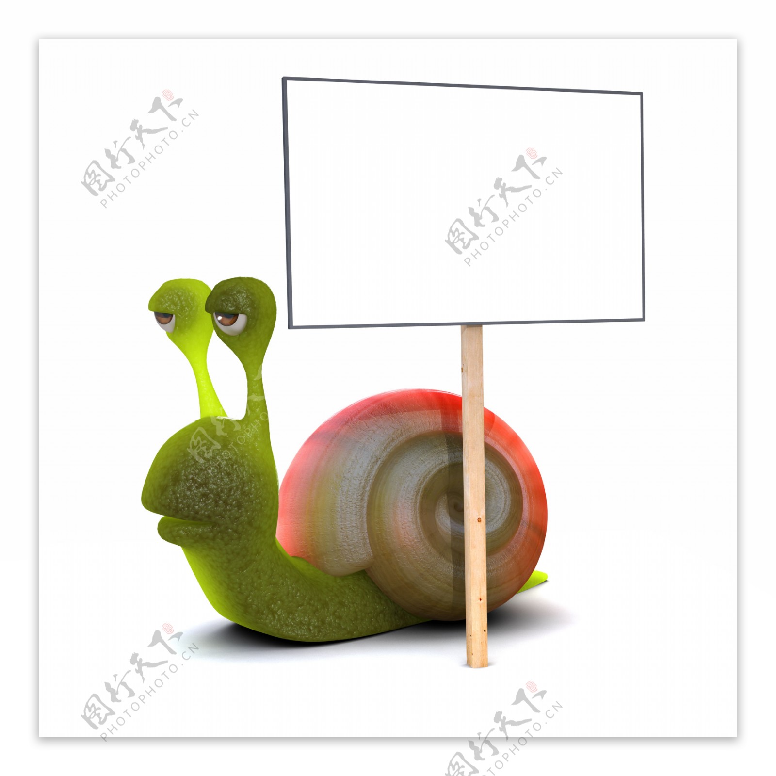 3d蜗牛图片