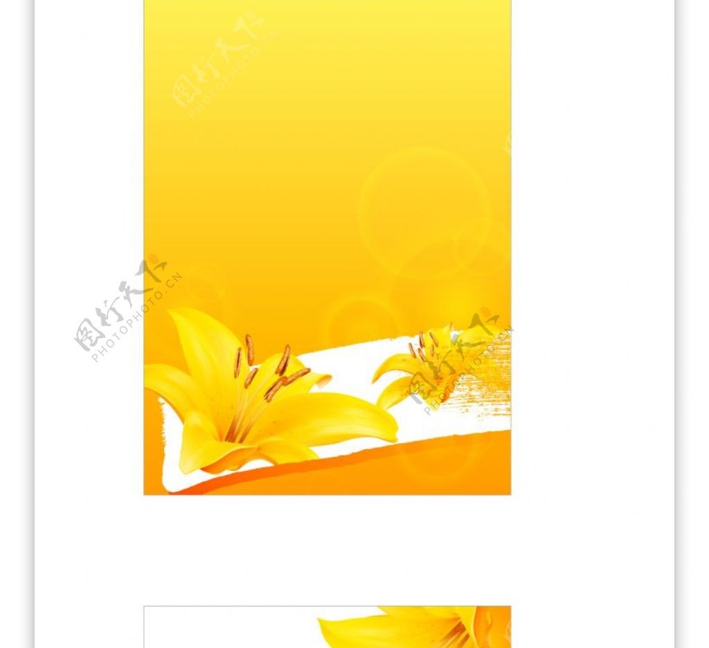 矢量素材金黄色的百合花
