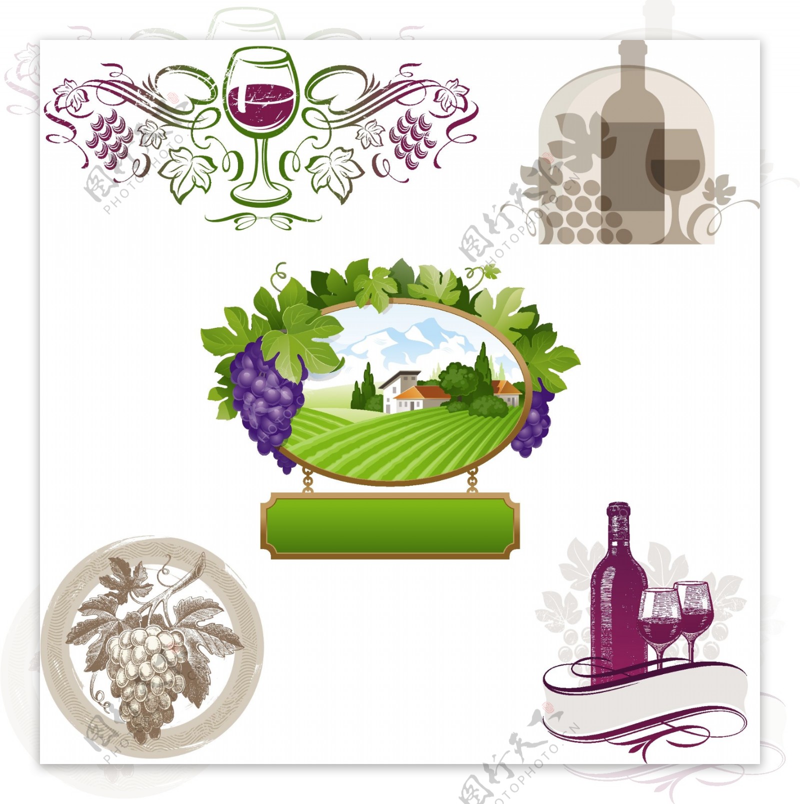红酒葡萄酒标签贴纸图片