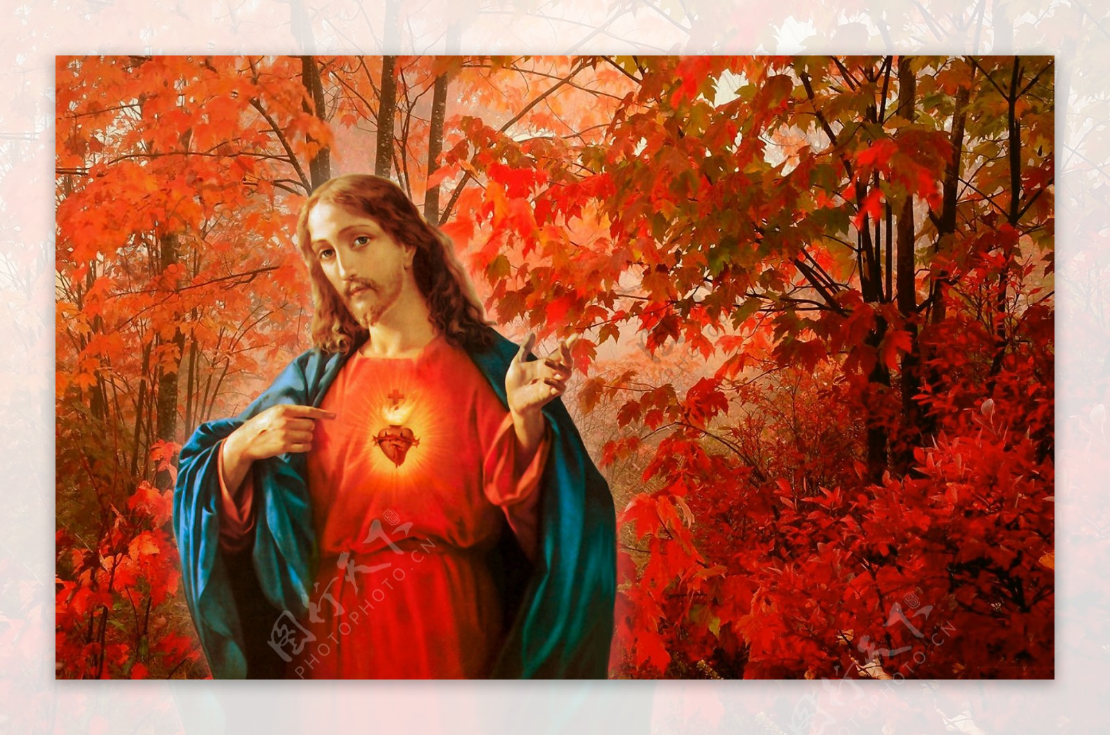 红叶耶稣图片