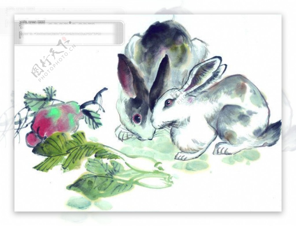 古图动物绘画兔子