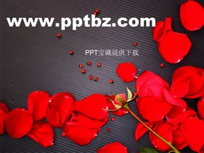 婚庆ppt模板红色的玫瑰花瓣