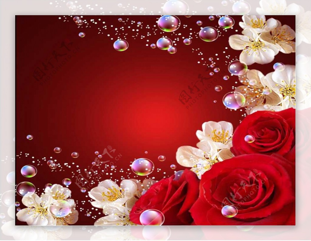 红玫瑰结婚庆典精美PPT模板