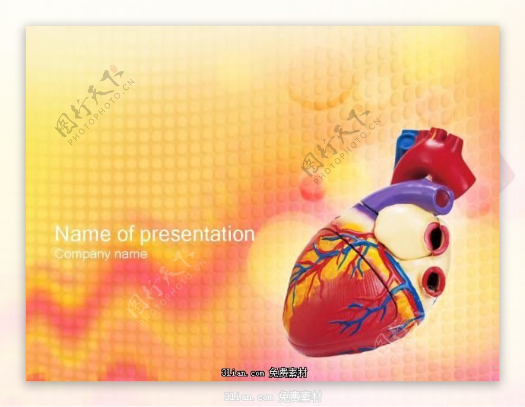 心脏模型医学行业PPT模板