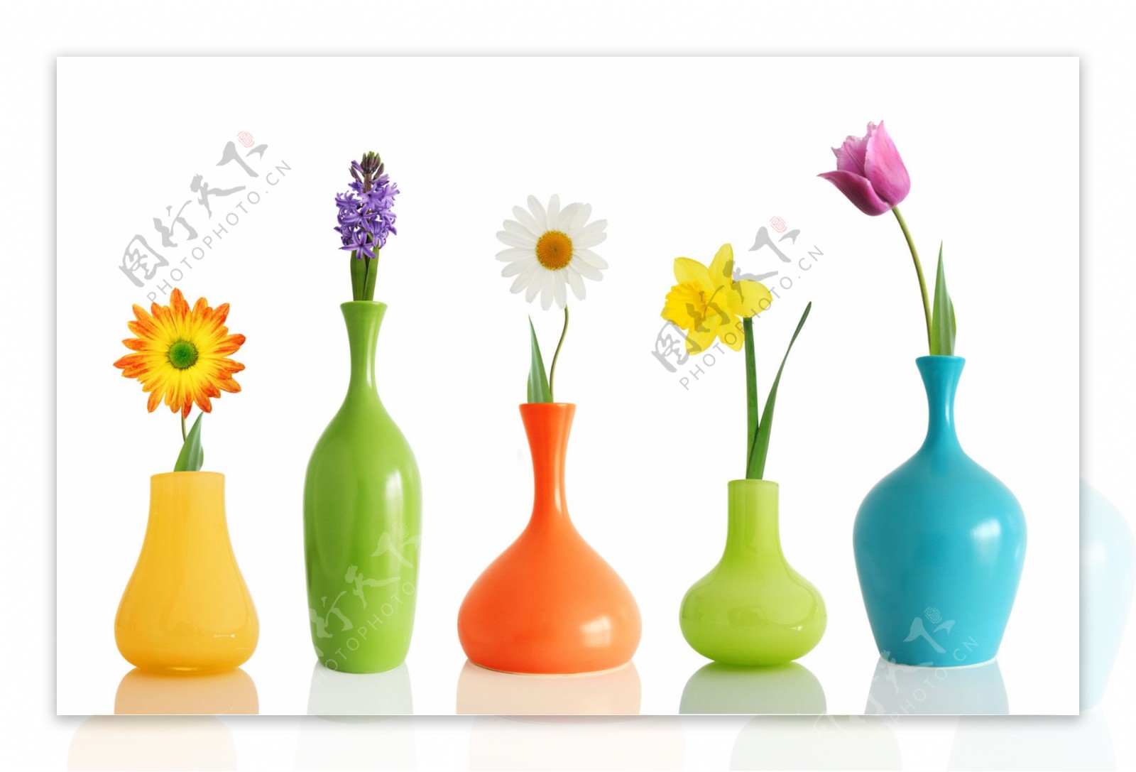 颜色各异的插画与花瓶