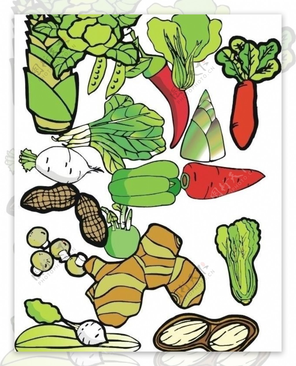 矢量蔬菜合辑4图片