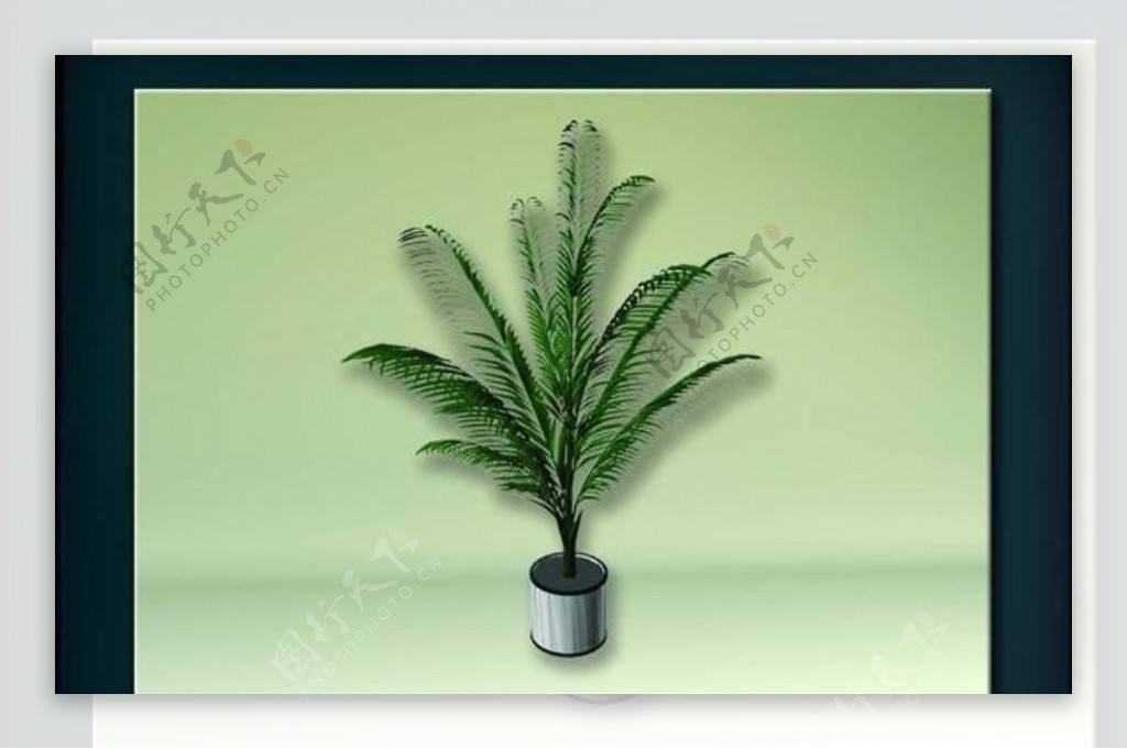 装饰构件之植物3D模型植物027