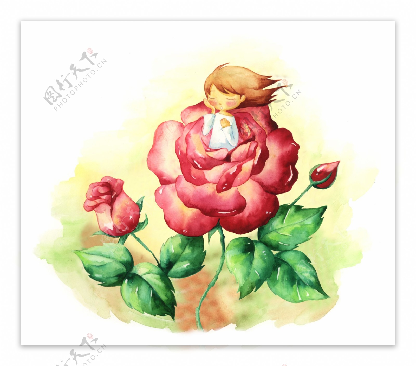 卡通玫瑰仙子