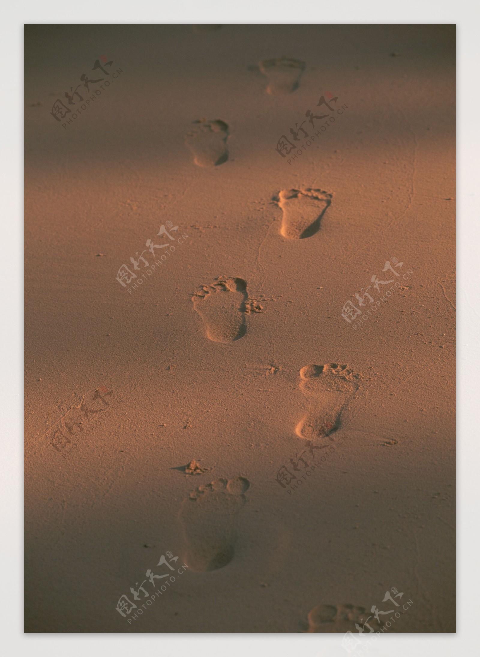 海滩沙滩脚印图片