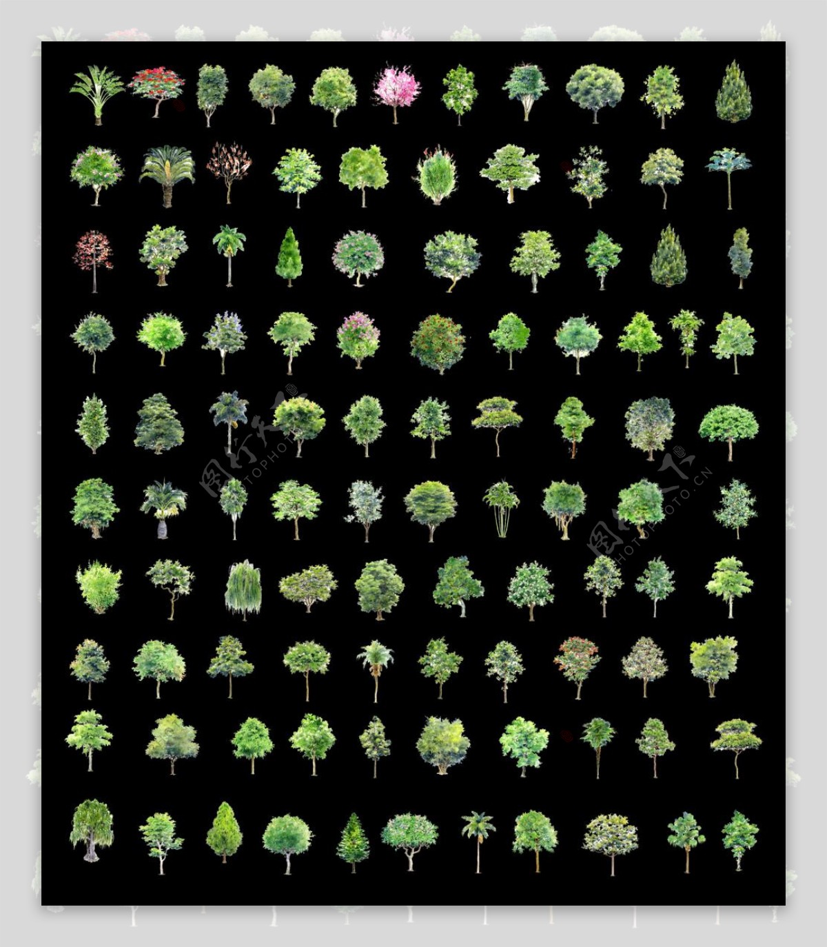 绿色乔灌木设计PSD源文件