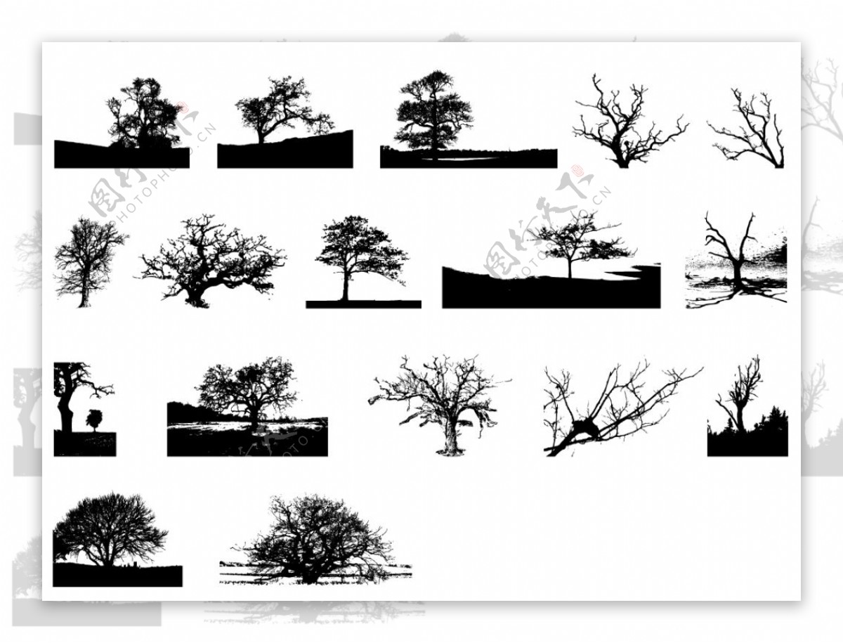 矢量树木剪影免费下载大树黑白