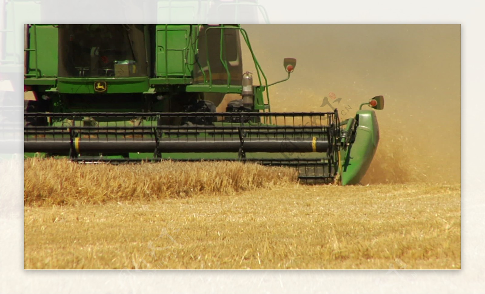 结合小麦收成缓慢的股票视频视频免费下载