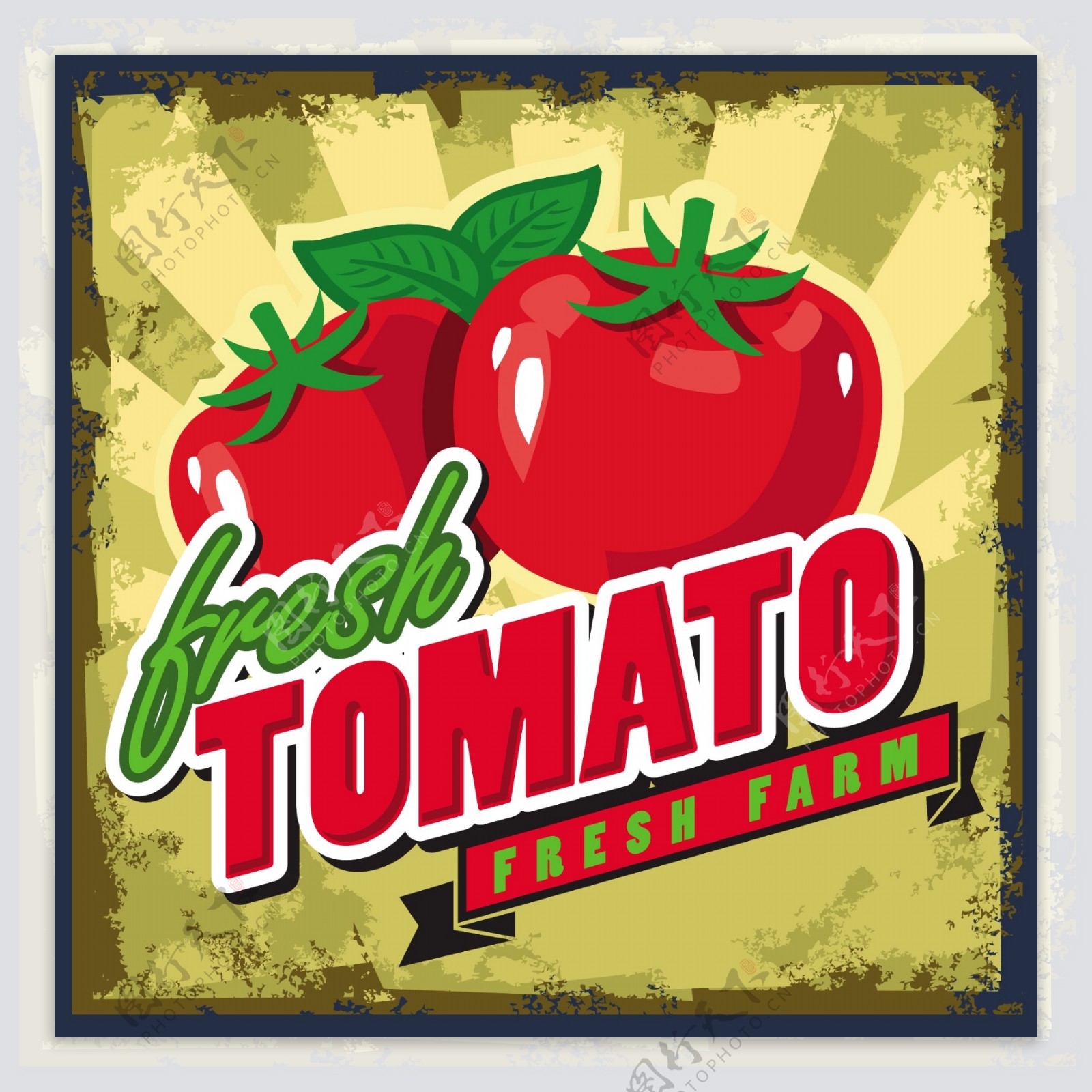 新鲜番茄的复古风格的海报矢量素材06
