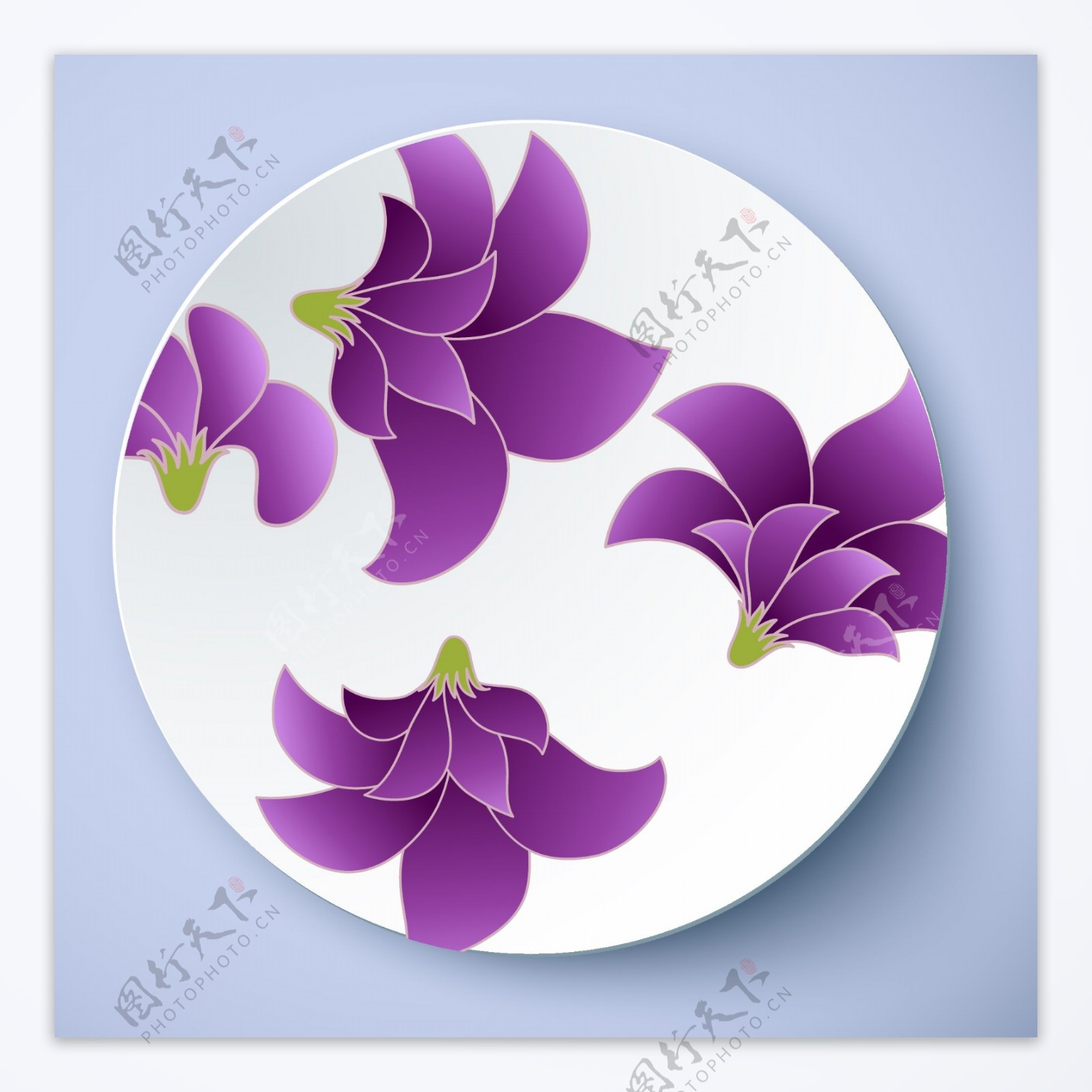 盘子花纹紫色花卉图案