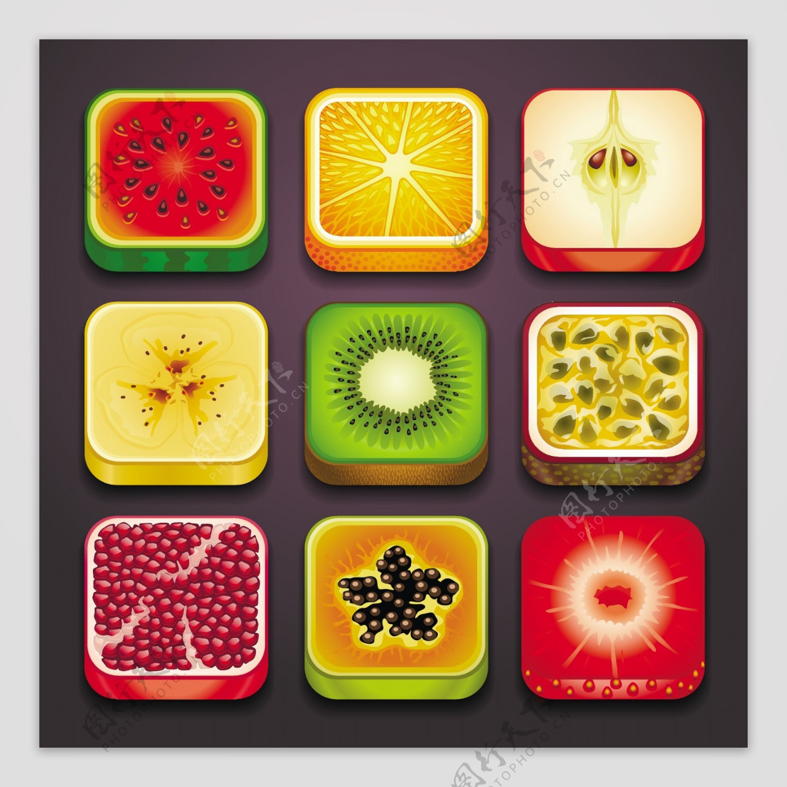 水果标本水果图标图片