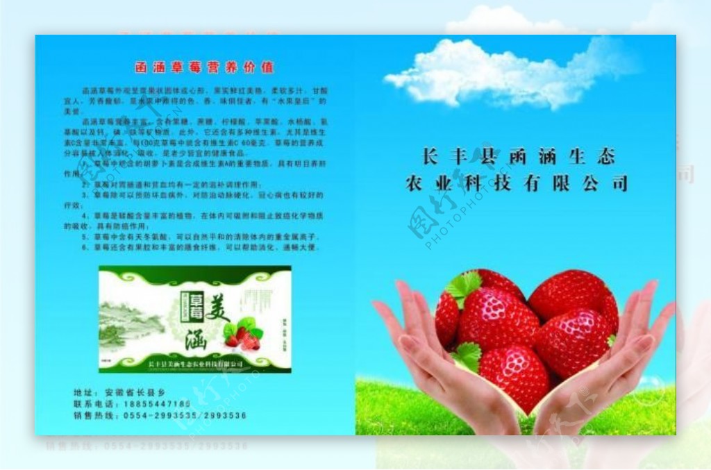草莓画册封面图片