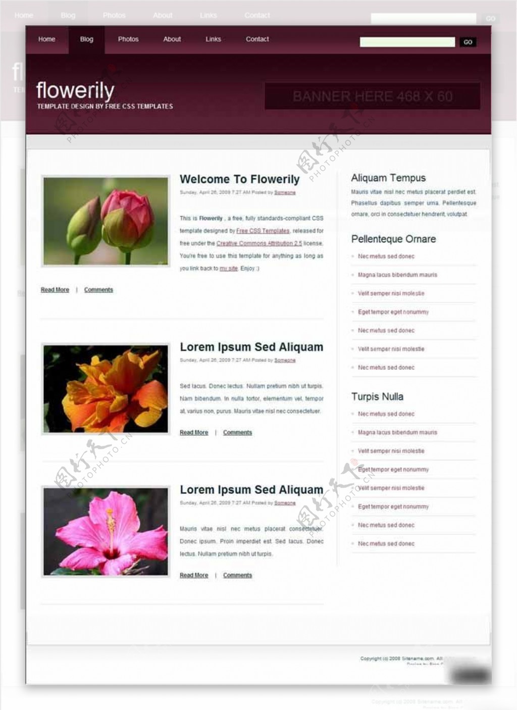 花类介绍信息网页模板