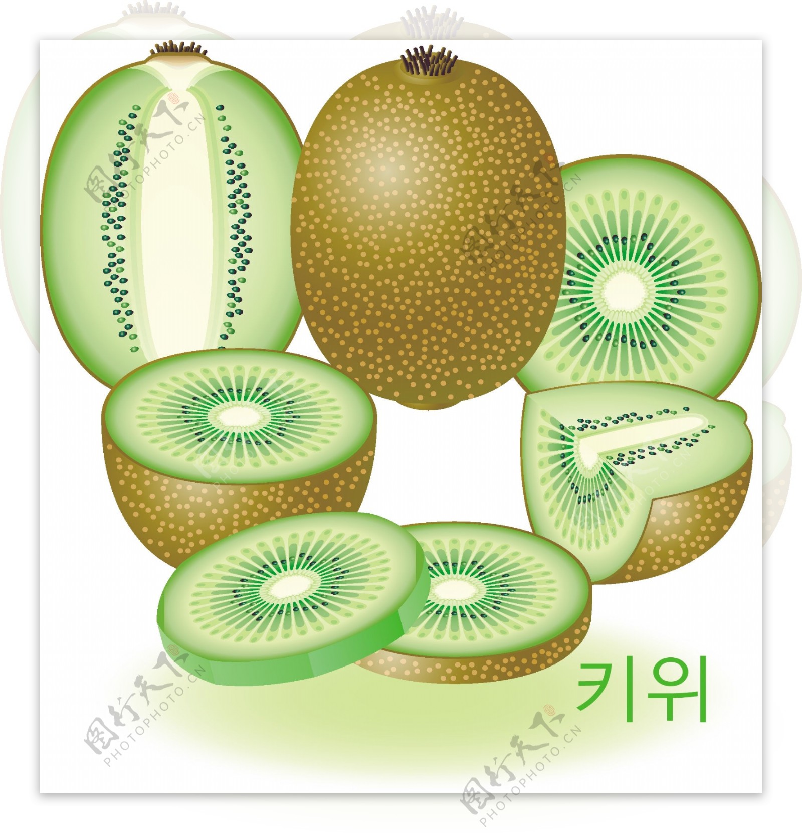 韩国风格精美诱人水果矢量素材下图片