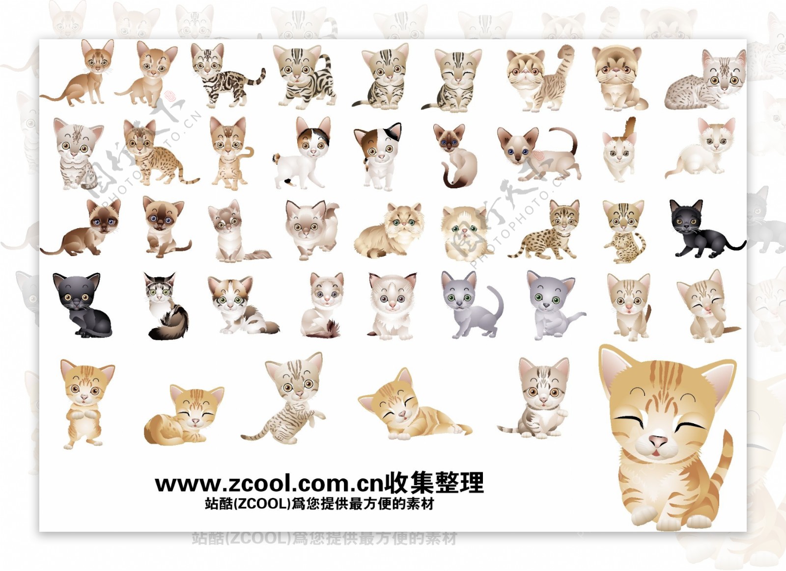 可爱的小猫咪矢量素材40品种