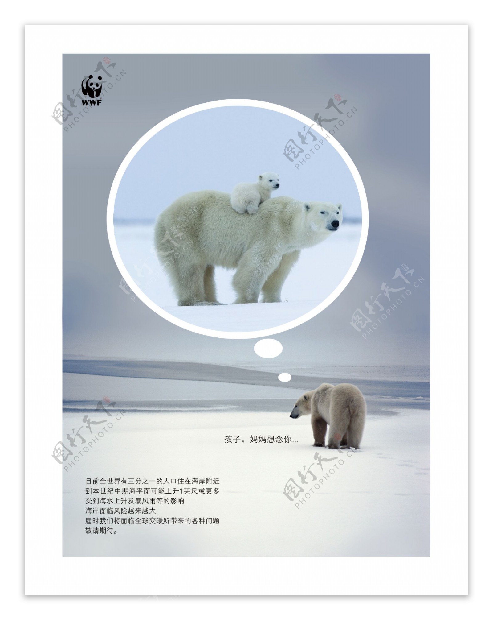 公益广告北极熊图片
