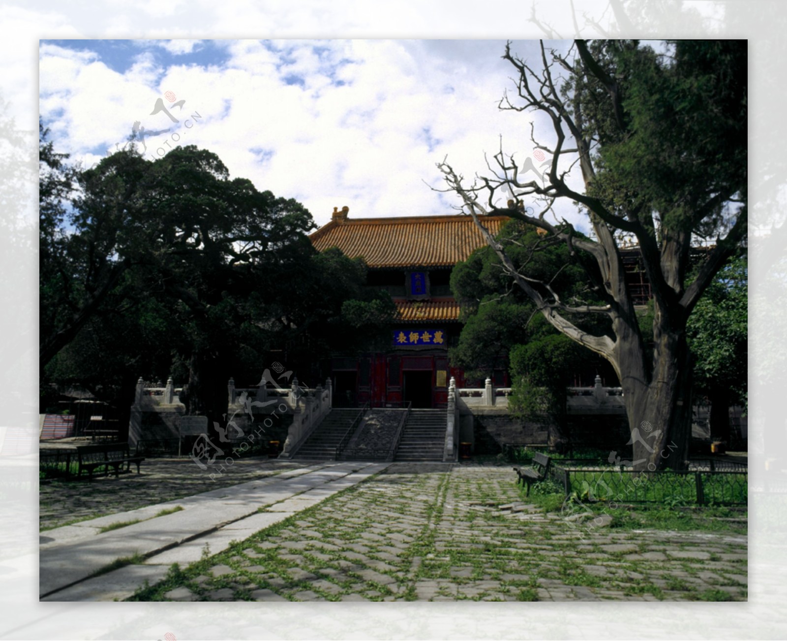 北京皇家园林建筑古木石板路蓝天白云天坛