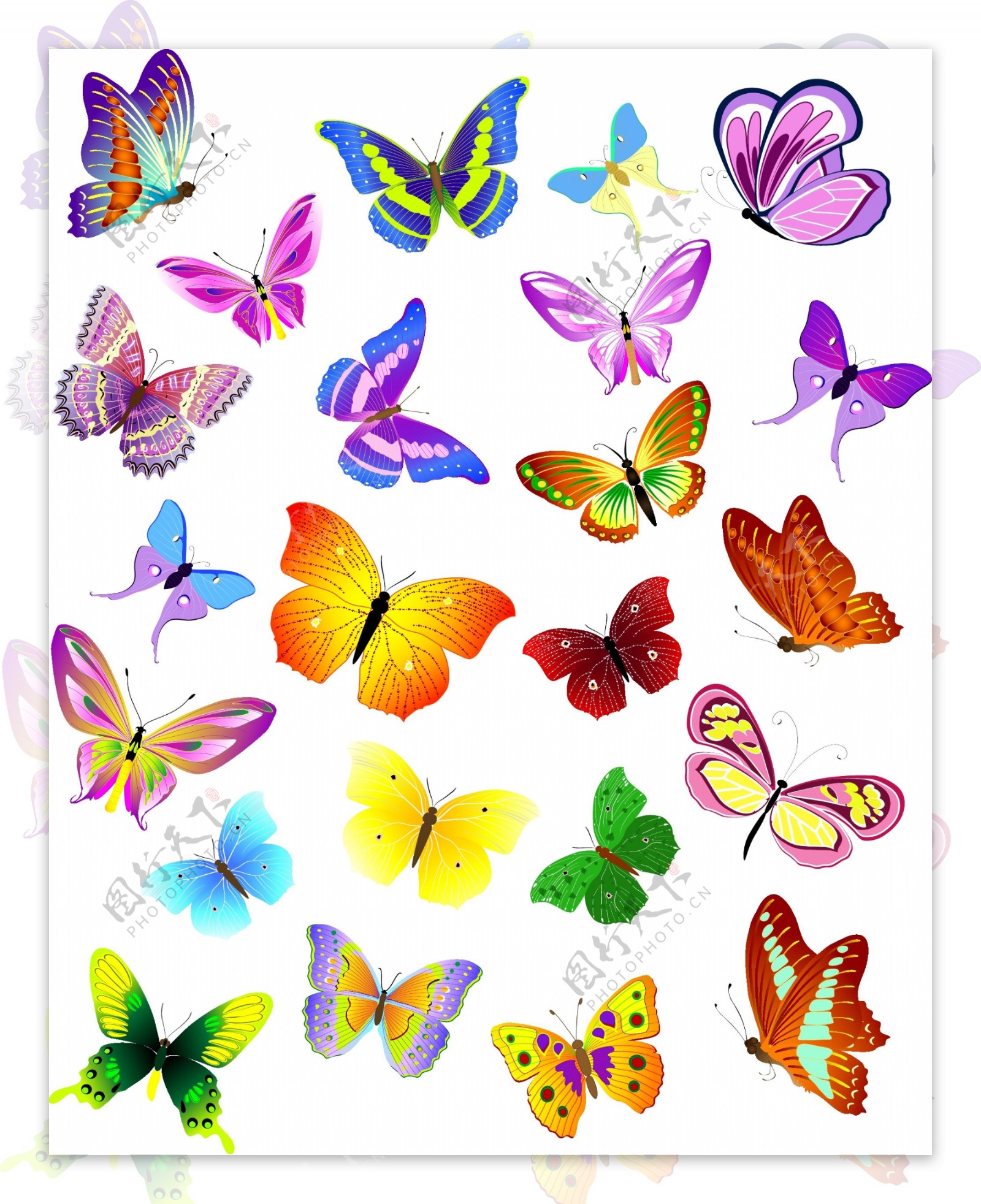 蝴蝶矢量素材图片免费