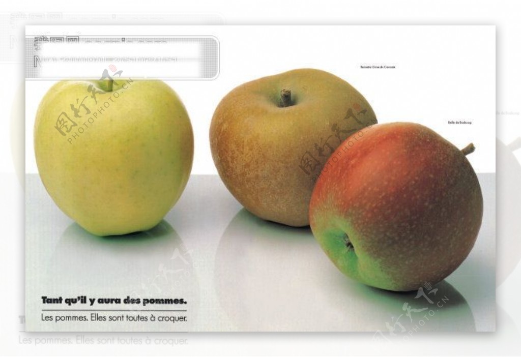 苹果广告设计