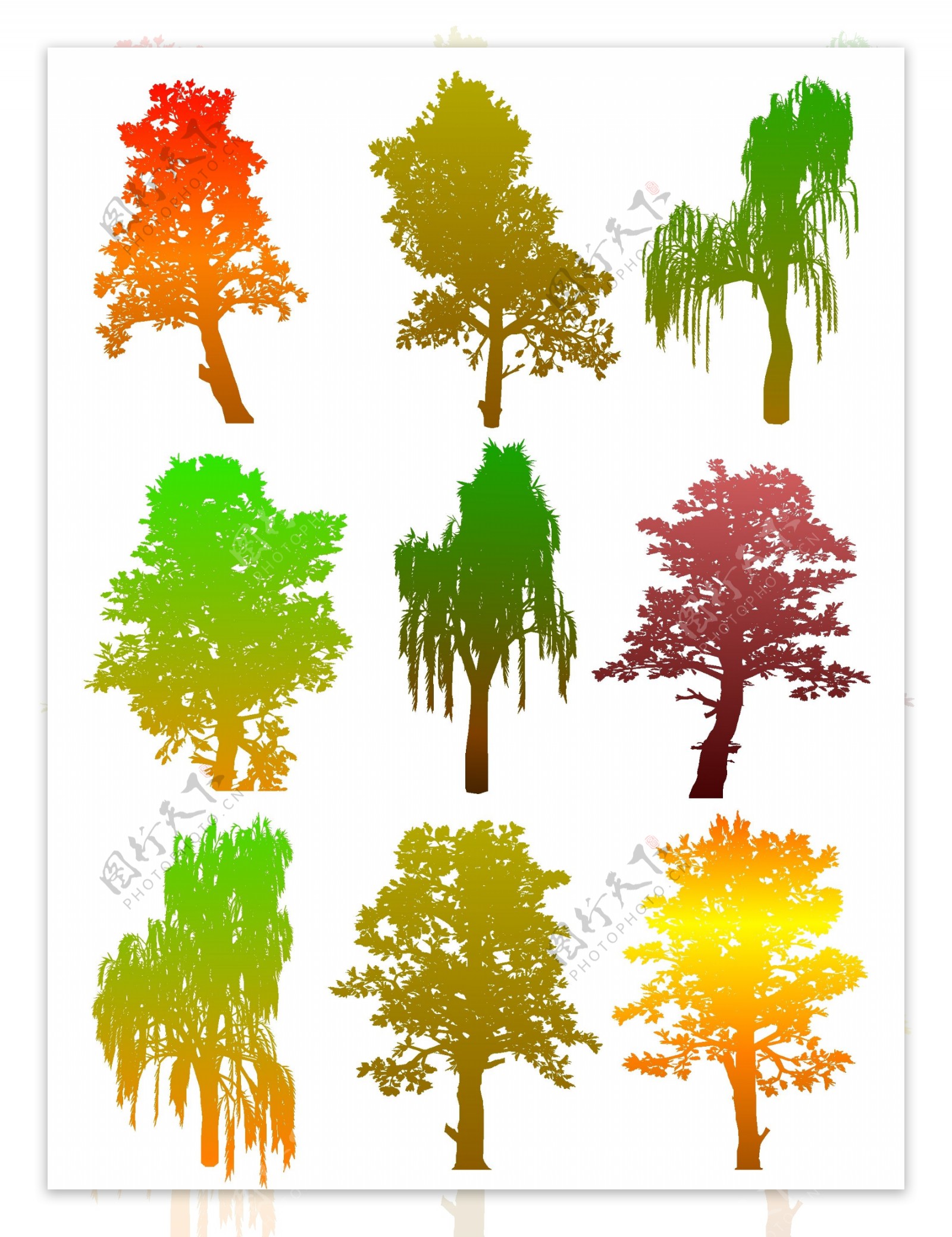 五颜六色的树的剪影
