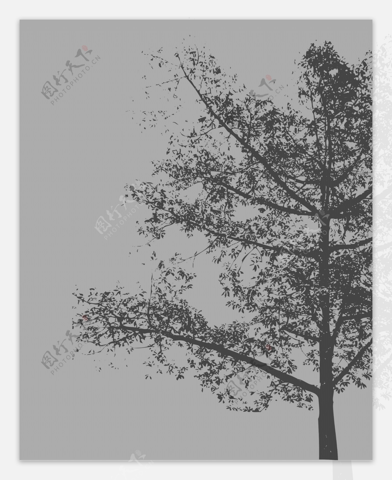 可怕的孤独的树的剪影
